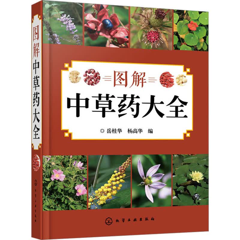 图解中草药大全 图书