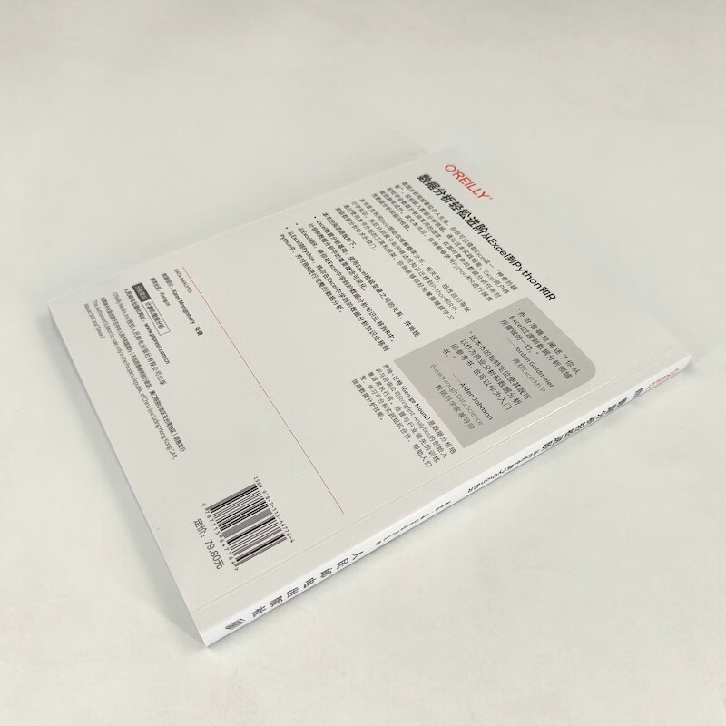 数据分析轻松进阶：从Excel到Python和R（图灵出品）