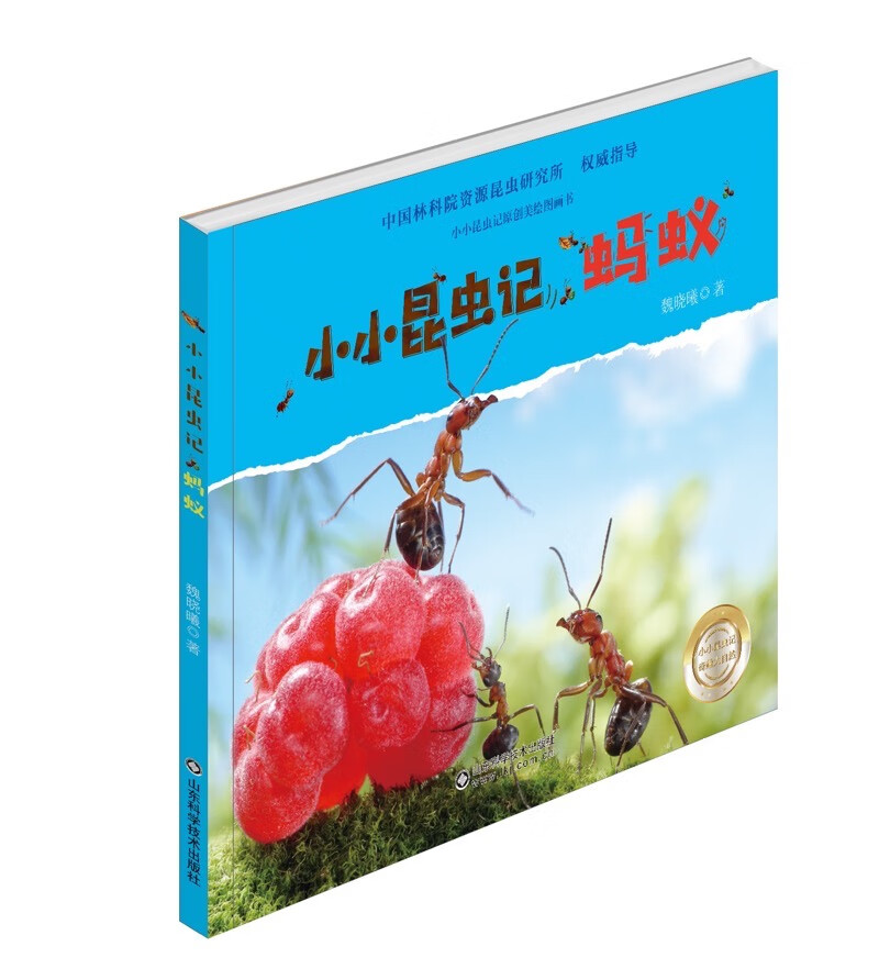 蚂蚁/小小昆虫记  童书 魏晓曦 山东科学技术出版社