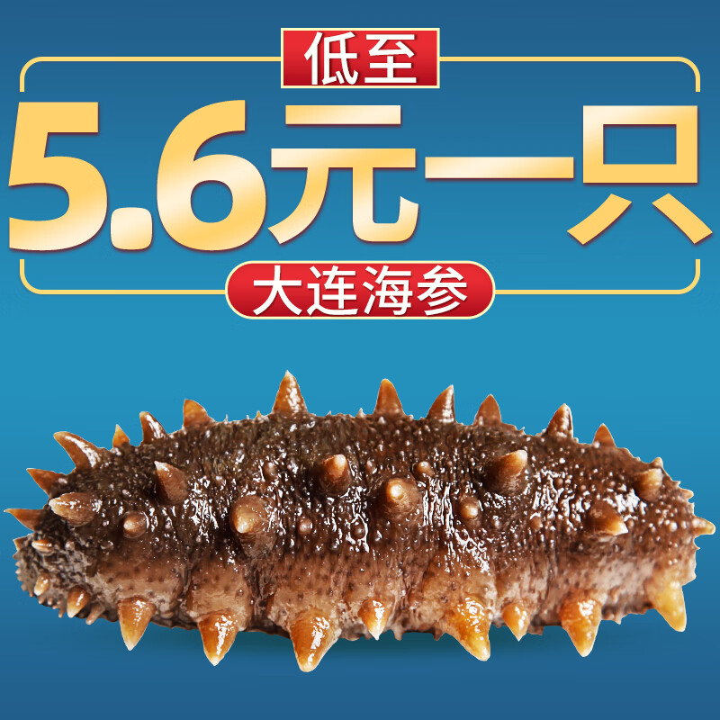 近期海参的价格走势|海参价格比较