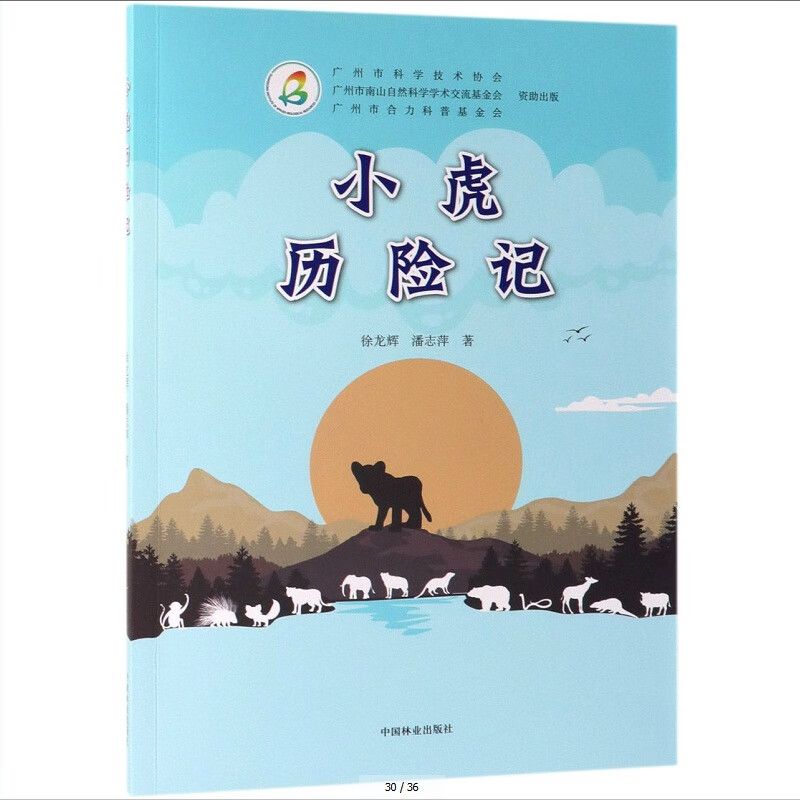 小虎历险记