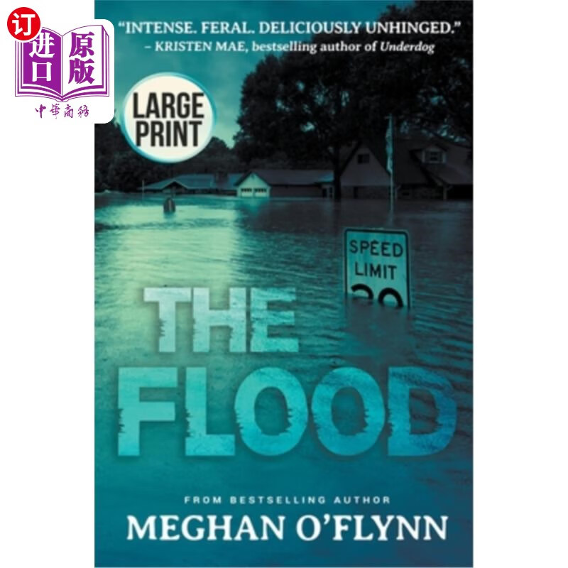 海外直订the flood: a novel (large print) 洪水:一部小说(巨幅印刷)