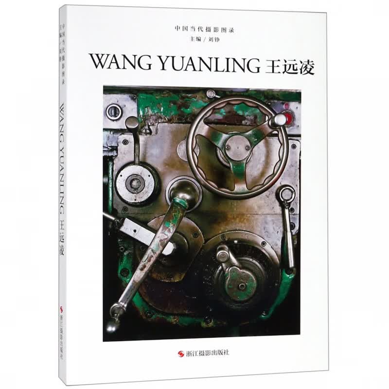 王远凌(精)/中国当代摄影图录