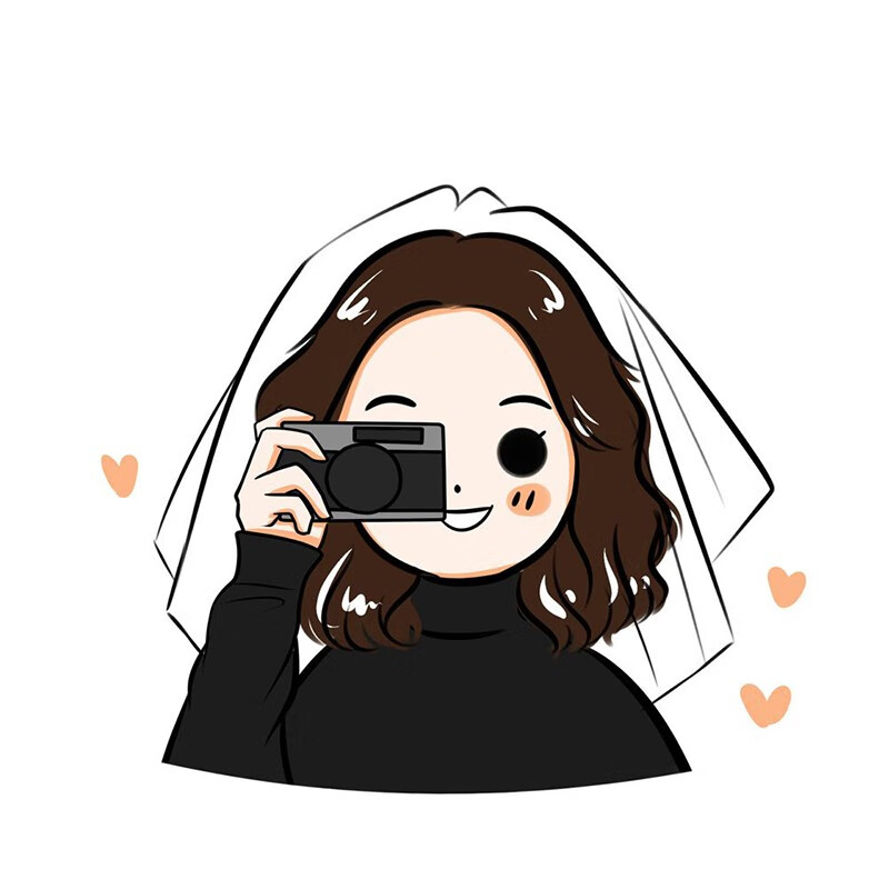 手绘画定制头像设计ins风q版卡通情侣宠物约稿真人照片转动漫卡通