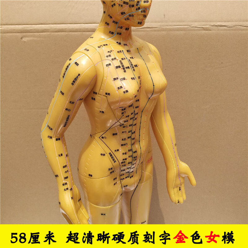 督脉打通的感觉_打通任督二脉的感觉_督脉通了会怎样