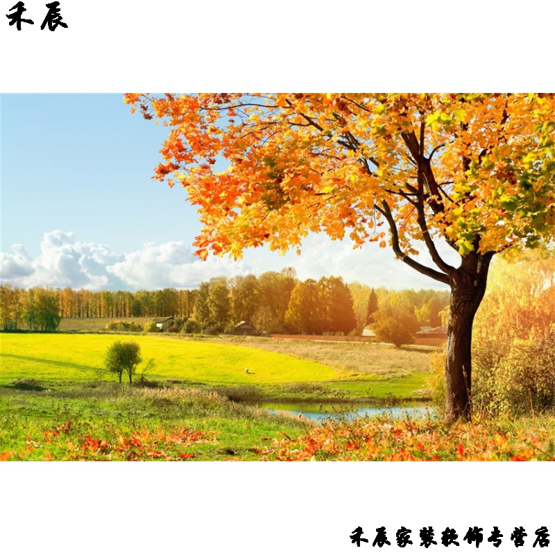 贴画秋天风景海报红枫树林森林自然风光落叶阳光麦田丰收美景装饰贴画