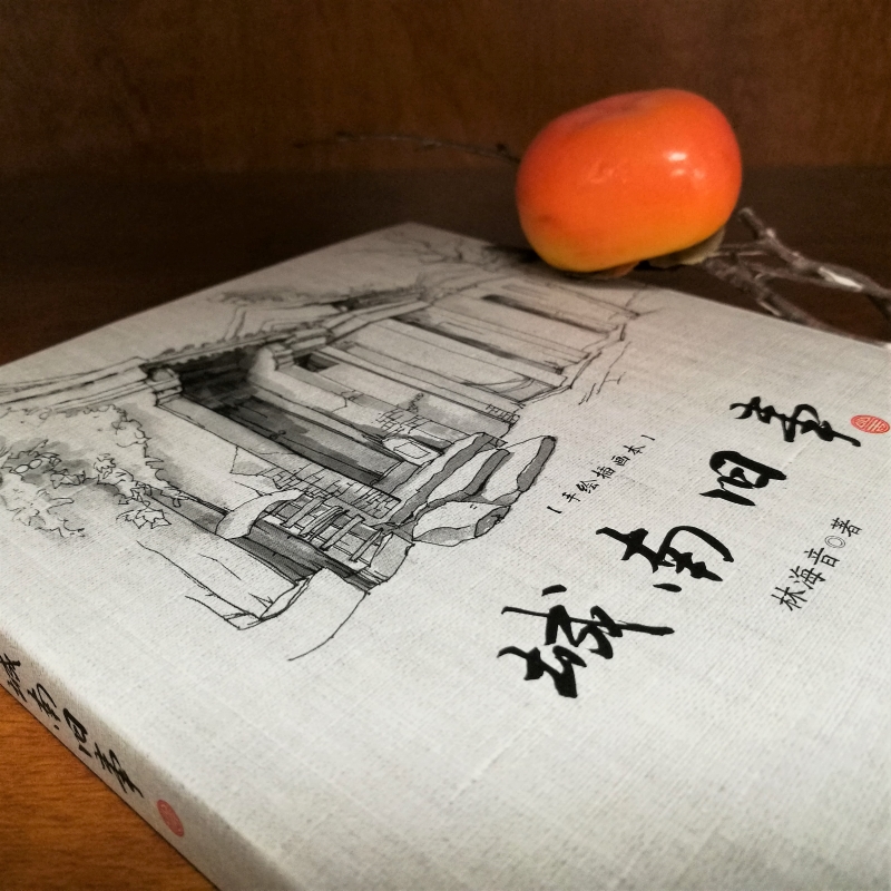 城南旧事 手绘插图本 大字典藏本