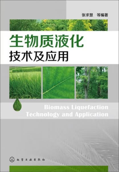 【正版】生物质液化技术及应用