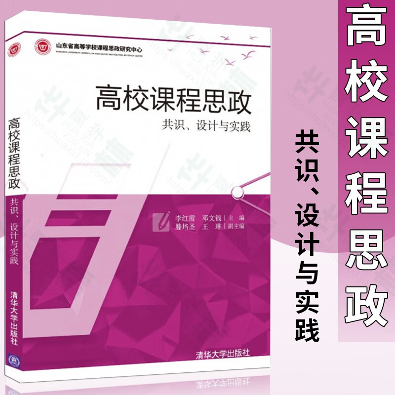 高校课程思政——共识、设计与实践 课程思政教学设计案例