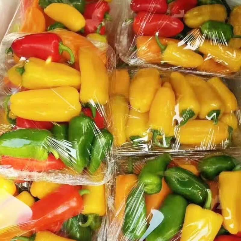 农大姐妹水果彩椒 山东五彩甜椒  七彩生吃彩椒 当季沙拉蔬菜新鲜甜椒凉拌 顺丰冷链上门4斤