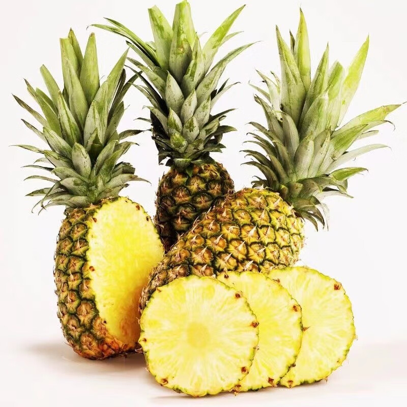 菠萝凤梨历史价格查询方法|菠萝凤梨价格比较