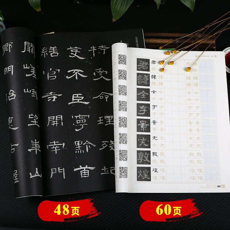 卢中南楷书原帖对照硬笔钢笔字帖 高清原碑帖附简体旁注 汉隶隶书书法