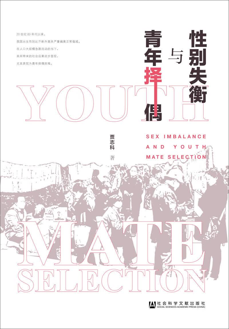 性别失衡与青年择偶
