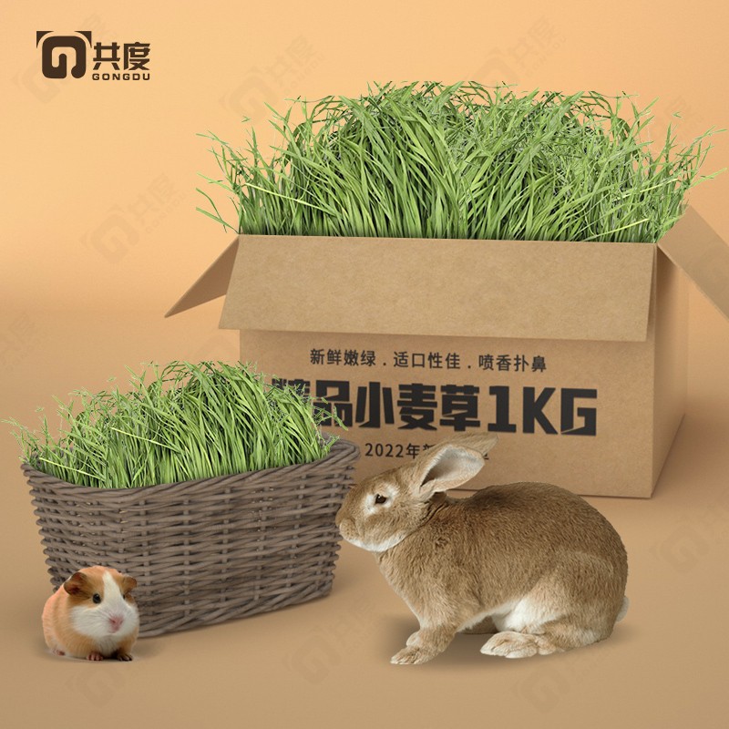 评测了解比较共度（Gong Du）兔粮牧草质量怎么样？爆料评测优缺点