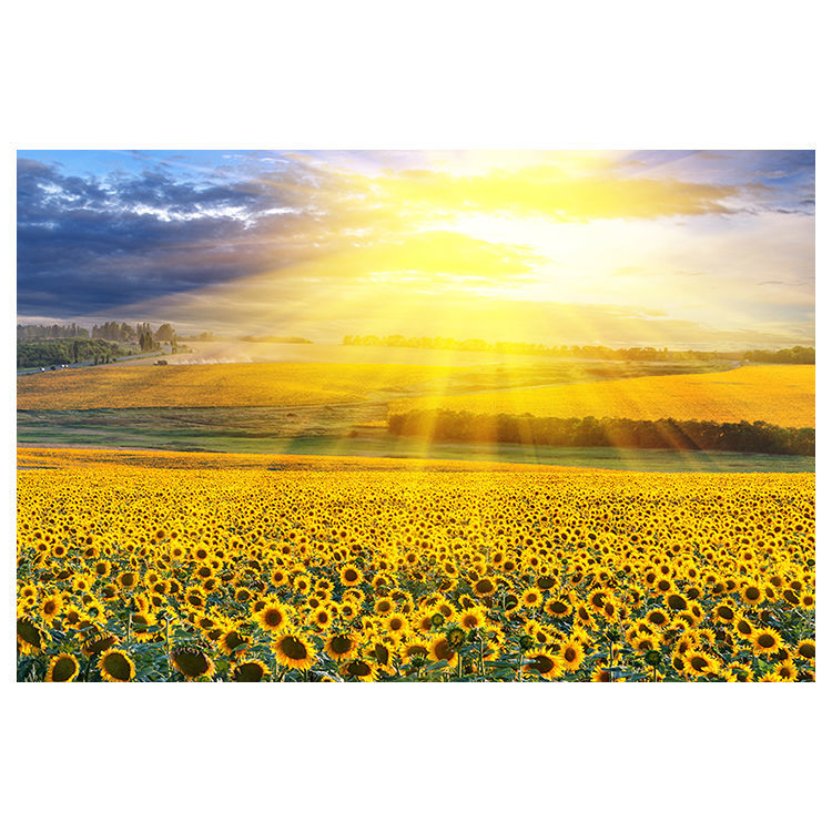 向日葵客厅沙发背景墙贴挂画餐厅玄关卧室床头太阳日出壁画梦倾城