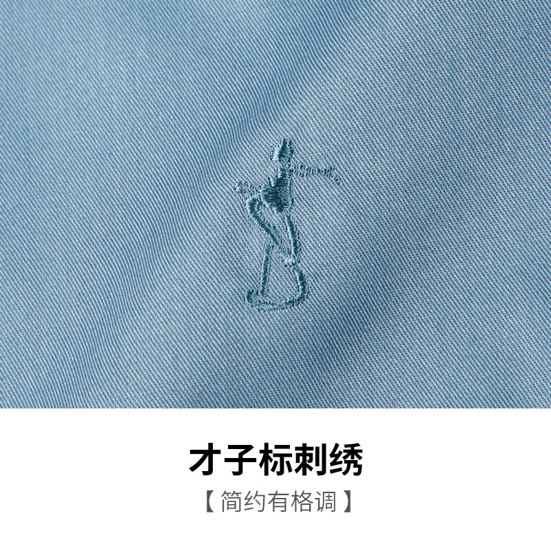 才子(TRIES)【明星同款】男士商务休闲长袖衬衫易打理纯色百搭职场白衬衣 浅豆绿色 2XL 41(175/96A)