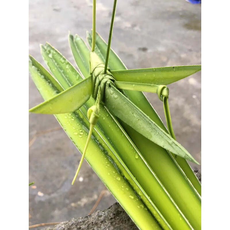 草编棕编鲜叶编织蚂蚱 棕草叶编织昆虫动物蚂蚱飞蝗土蝗小学生幼儿园