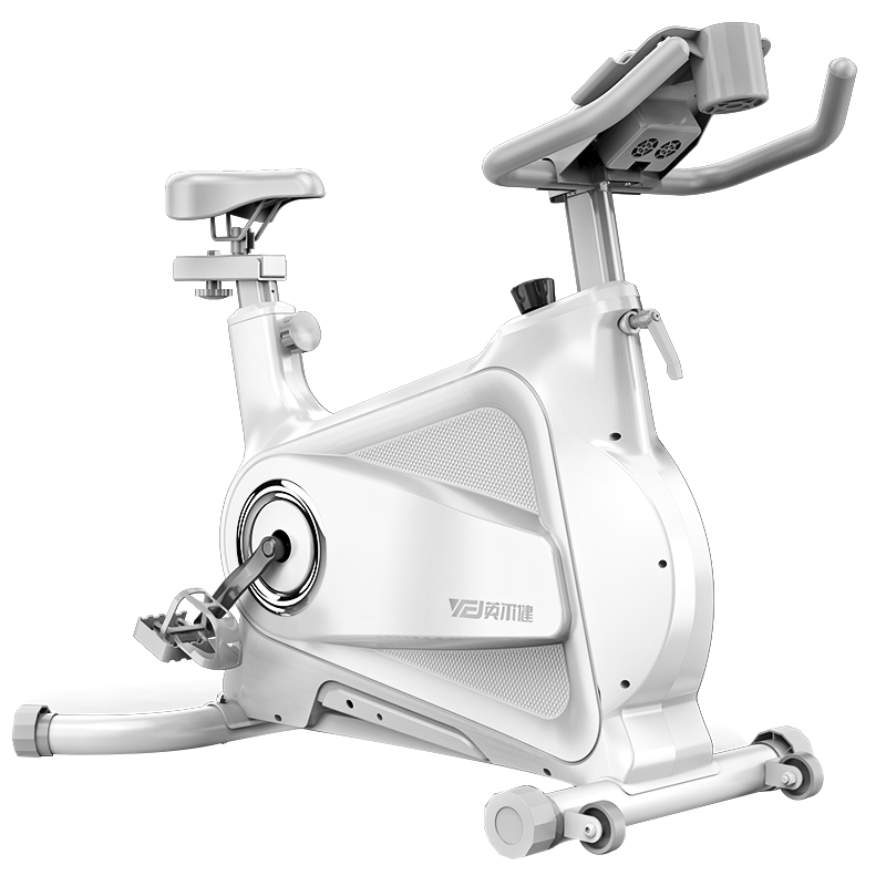 英尔健（yingerjian）动感单车磁控家用车智能运动静音减肥器材室内脚踏车 标准款-皎月白【物理阻力+蓝牙】
