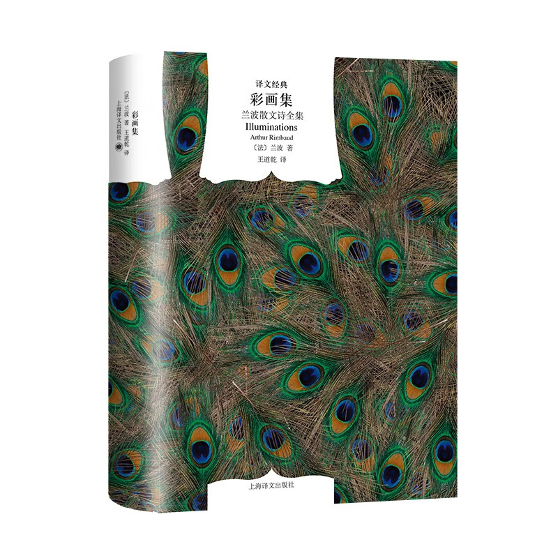 文学名著·译文经典：彩画集——兰波散文诗全集