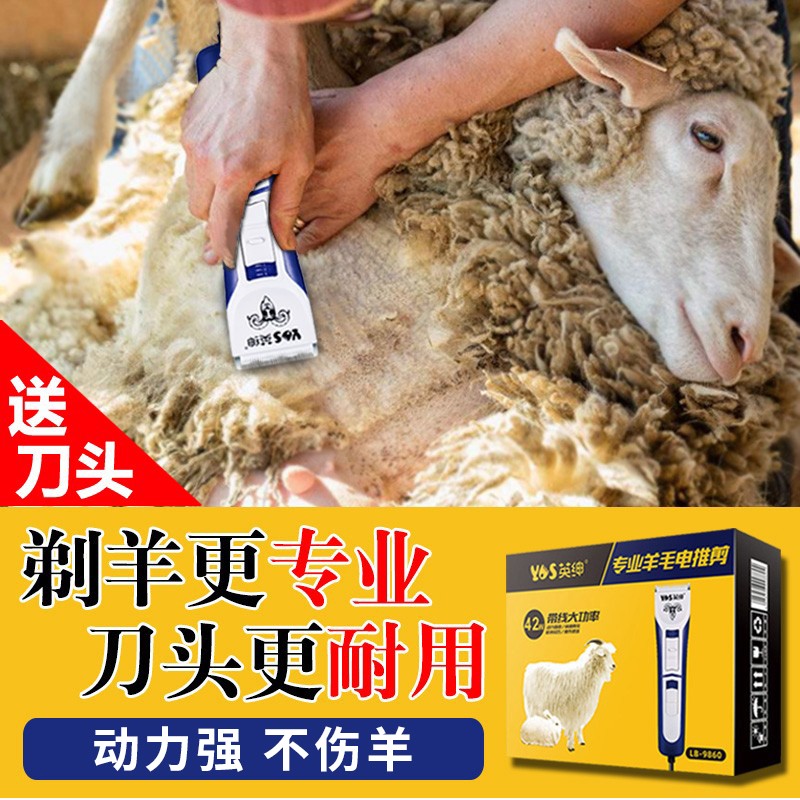 用后反馈英绅LB-9860 宠物电推剪怎么样好不好？说些你不知道的