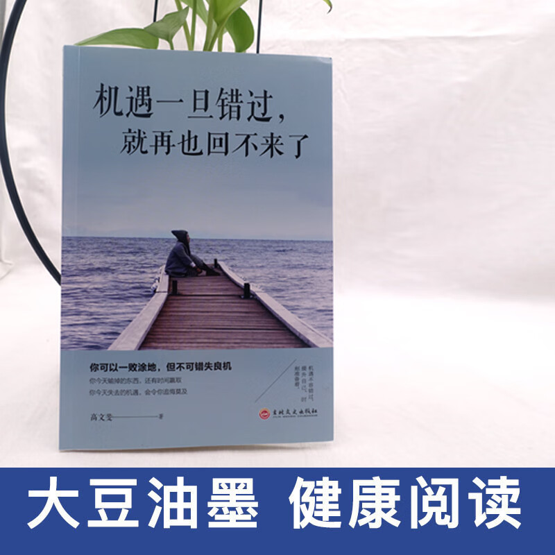 机遇一旦错过，就再也回不来了详情图