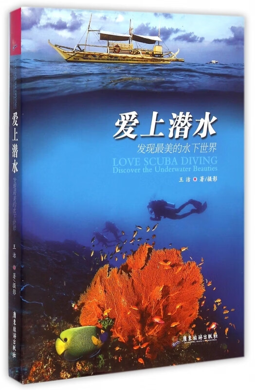 爱上潜水王洁著正版