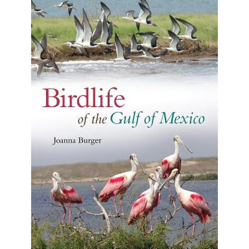 the gulf of mexico,thedeclineof 预订 birdlife of the gulf of mexico