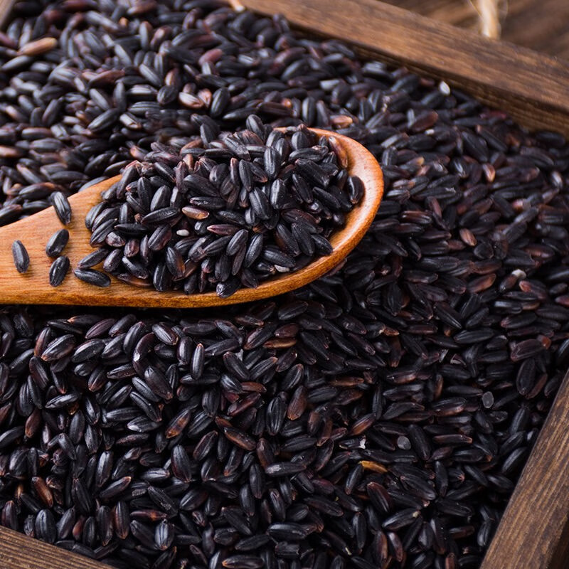 一把锄头 东北黑米 紫米香米农家黑香米 黑米饭 黑米粥 五谷杂粮粗粮