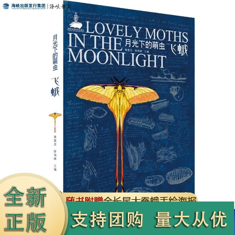 k月光下的萌虫——飞蛾 黄嘉龙徐堉峰 昆虫纲鳞翅目昆虫海峡书局 蛾类昆虫图鉴采集趣味标本自然科普百科类读
