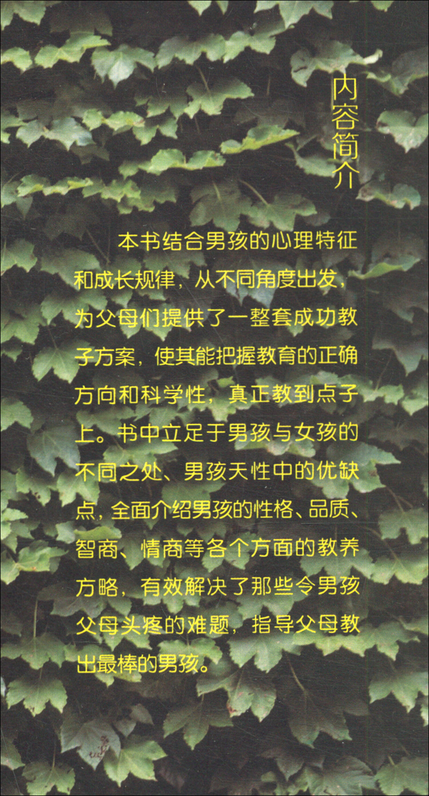 一定要告诉儿子的那些事（32开平装）详情图