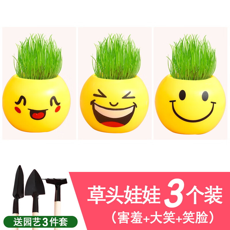 幼儿园植物观察生长发芽盆栽学生儿童礼物奖品diy迷你创意小植物l