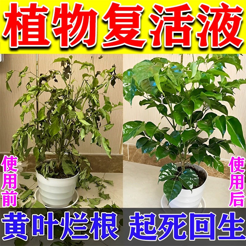 瓜果农喜植物复活液生根液快速发根枯树死树成活液烂根烂苗移栽扦插营养液 1瓶装【500ml】浓缩耐用 京东折扣/优惠券