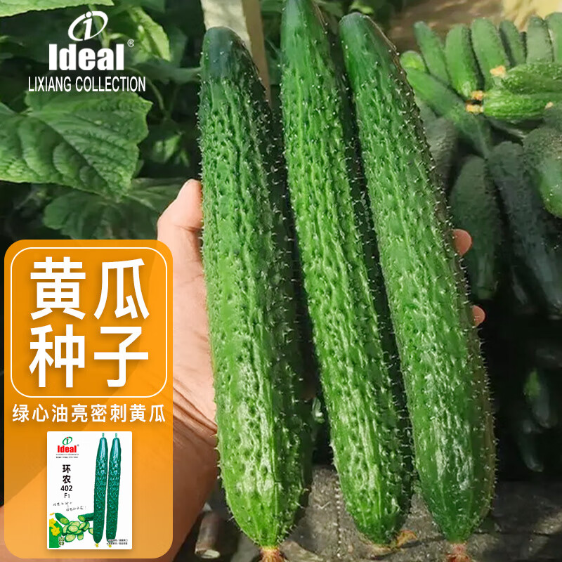 ldeal理想农业 黄瓜种子夏秋四季绿心密刺老品种黄瓜种籽阳台蔬菜种子