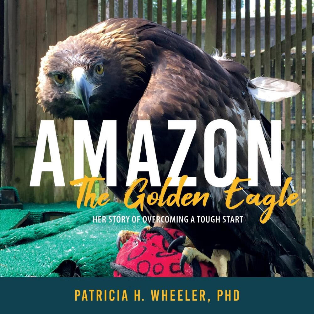 【预售 按需印刷】amazon, the golden eagle