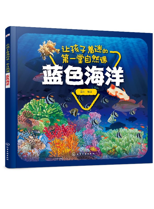 让孩子着迷的第一堂自然课——蓝色海洋