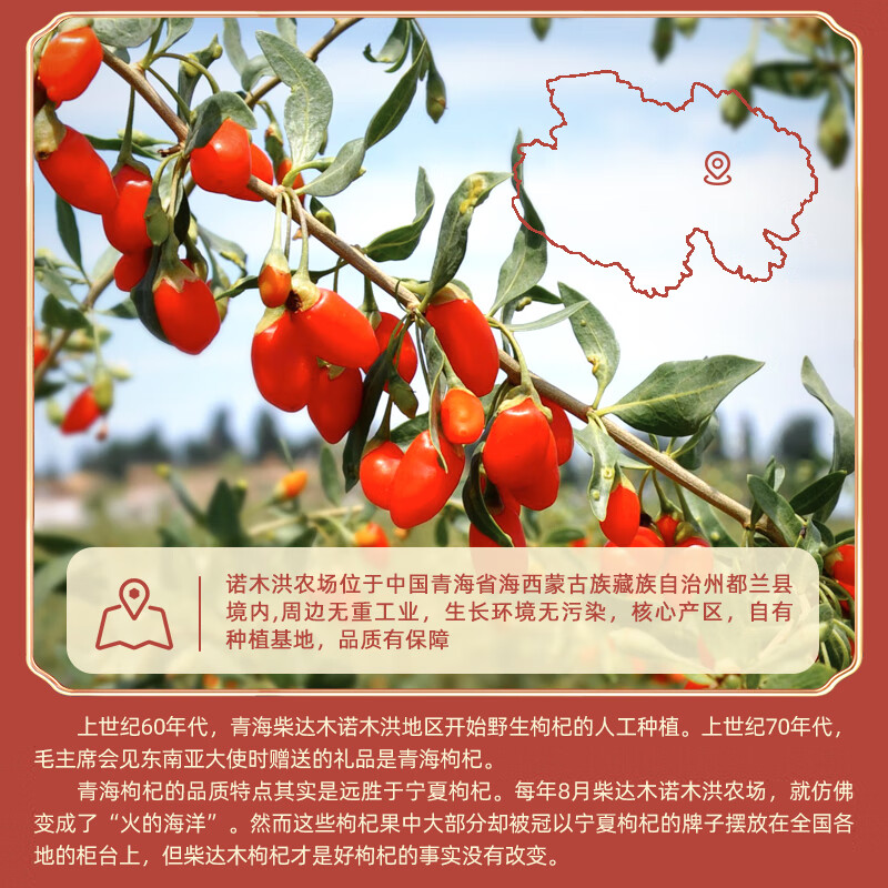 伊禧堂特优级红枸杞宁夏枸杞250g头茬无熏硫免洗送礼送长辈 青海特优级红枸杞250g