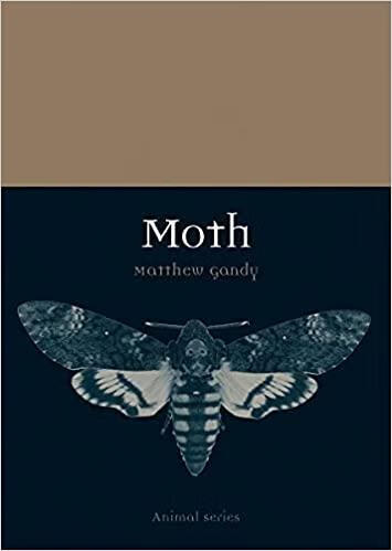 预订 moth