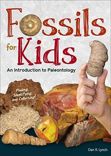预订fossils for kids