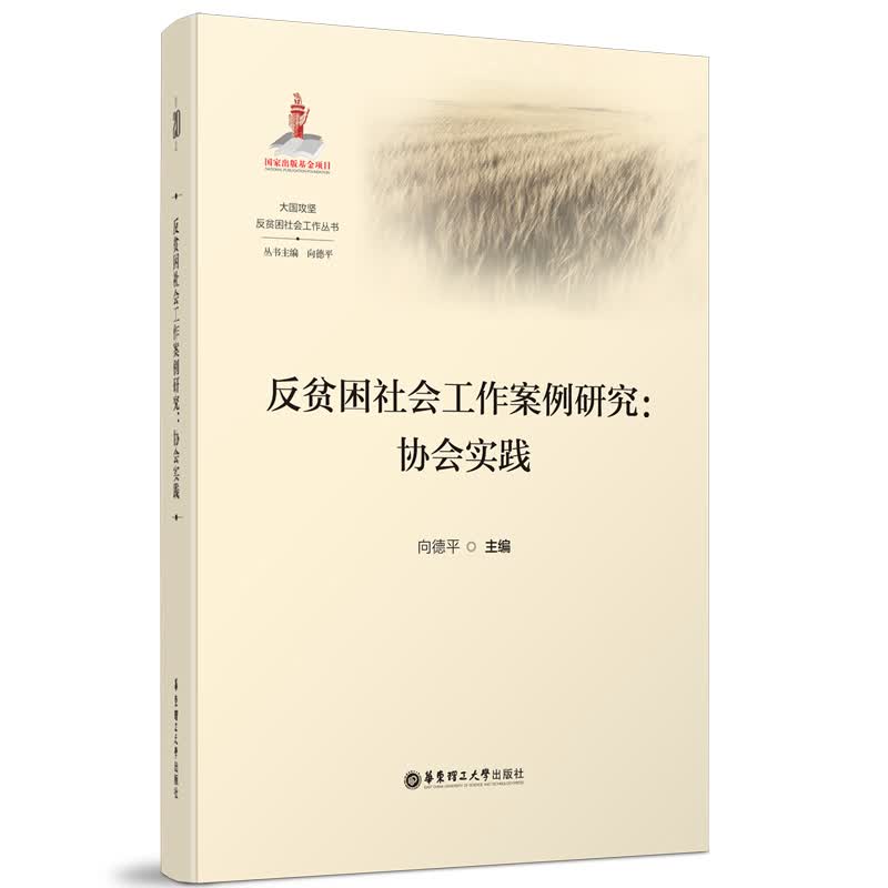 反贫困社会工作案例研究：协会实践