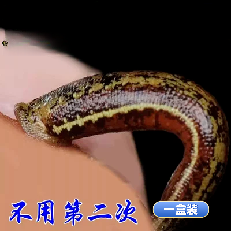 乙烯雌酚片剂乙烯雌酚片软膏男性用他强倍倍他强大hxm3512 一盒装