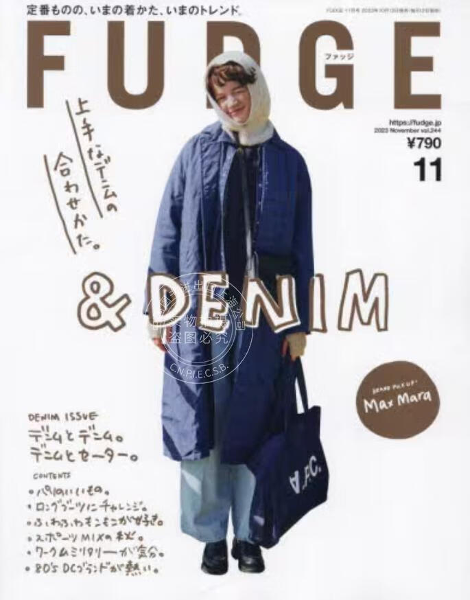 现货 进口日文 时尚杂志 FUDGE(ファッジ) 2023年11月号高性价比高么？
