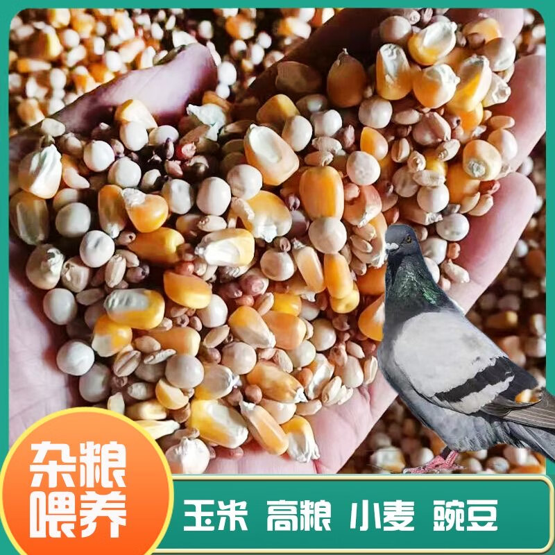 沂鲜新鲜鸽子蛋正宗五谷杂粮散养信鸽蛋30枚孕妇宝宝农家初生蛋礼盒装 鸽子蛋30枚