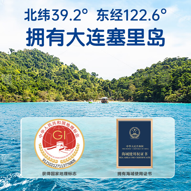 海晏堂大连即食海参辽刺参固形物≥70%开袋即食海鲜水产鲜即食海参礼盒 简装500g(15-18头）