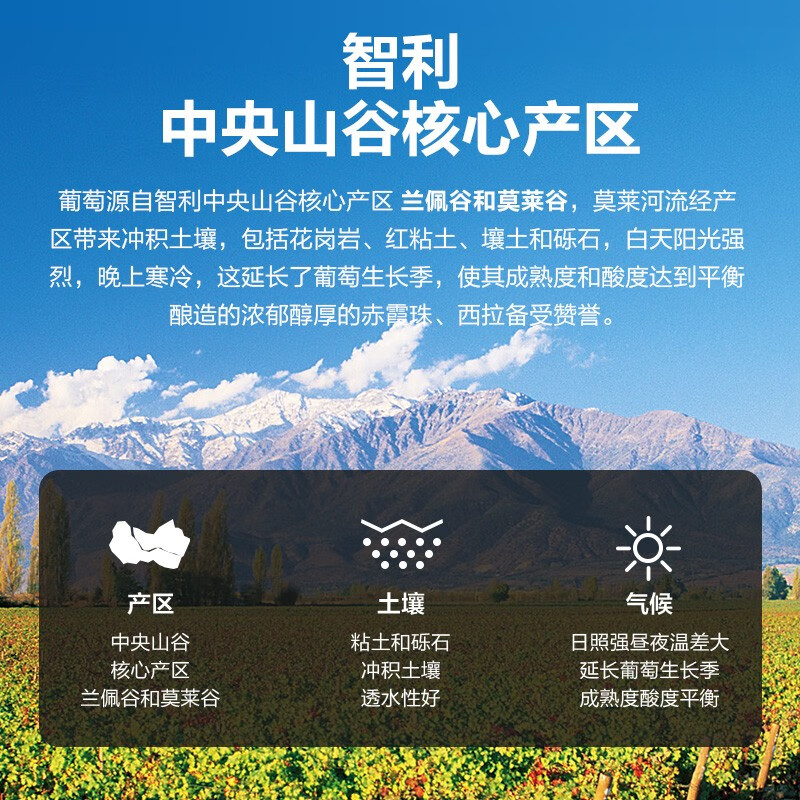 智利原瓶进口红酒 干红葡萄酒红魔鬼黑金珍藏系列 750ml *6瓶整箱装