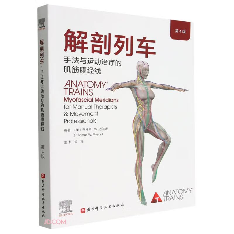 解剖列车（第4版）：手法与运动治疗的肌筋膜经线 全新第4版 解剖学工具书 北京科学技术出版社