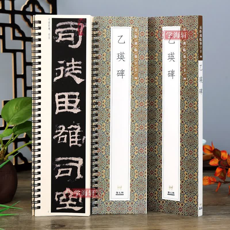 学海轩 乙瑛碑 近距离临摹字卡 隶书毛笔字帖书法成人学生临摹 原碑原帖简体旁注活页字卡练字帖 静文轩
