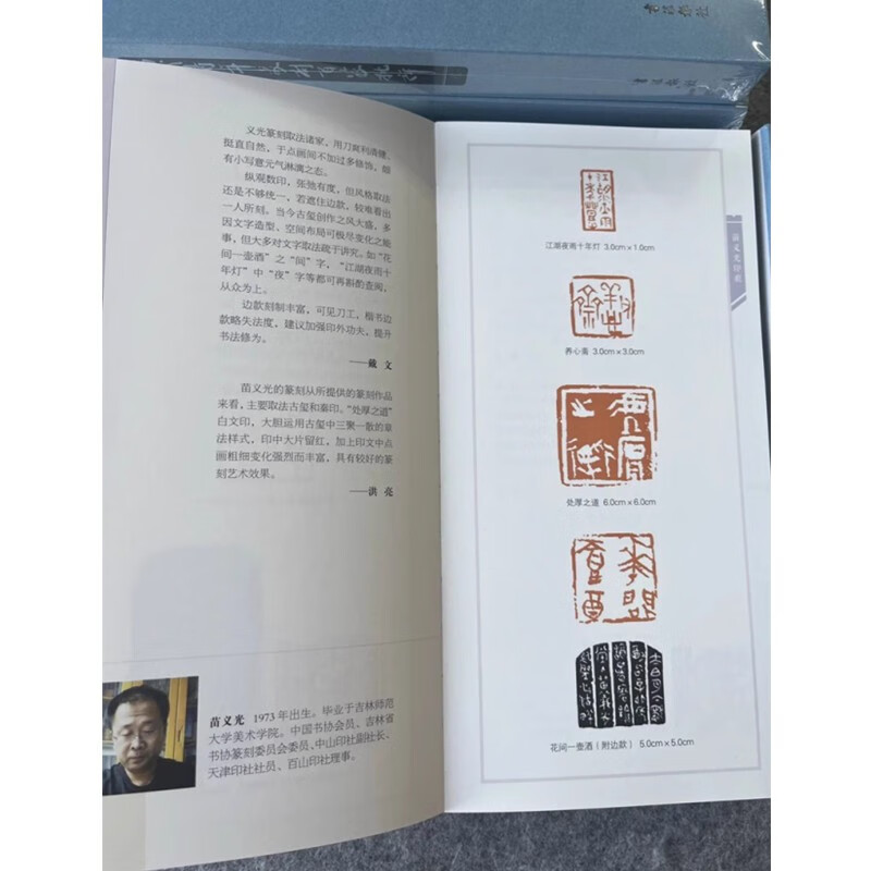 当代青年篆刻百家批评 第二季 精装24开 当代篆刻名家篆刻解析