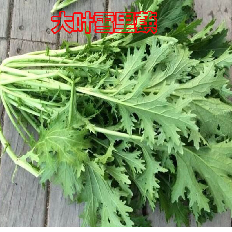 九头鸟雪里蕻【原装】10克x3袋