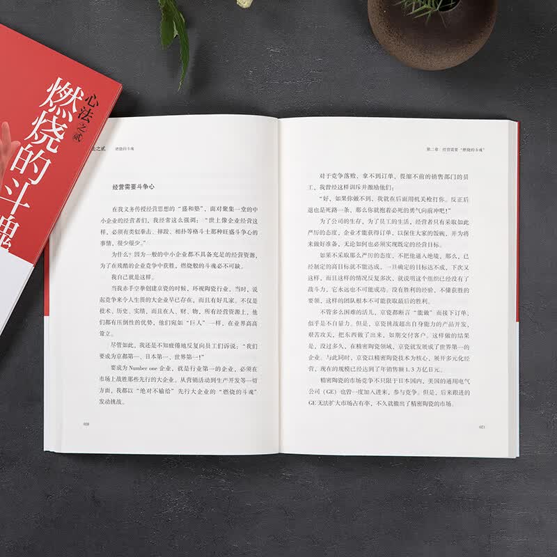 稻盛和夫：心法之贰：燃烧的斗魂（平装）详情图