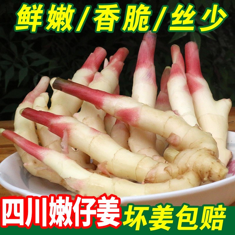 味小仙【順豐】四川新鮮仔姜 嫩姜紅芽生姜子姜可做腌制姜 3斤
